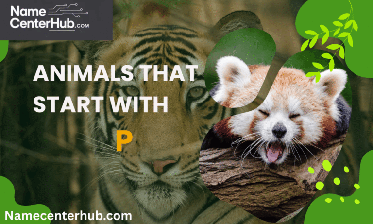 Animals That Start With P