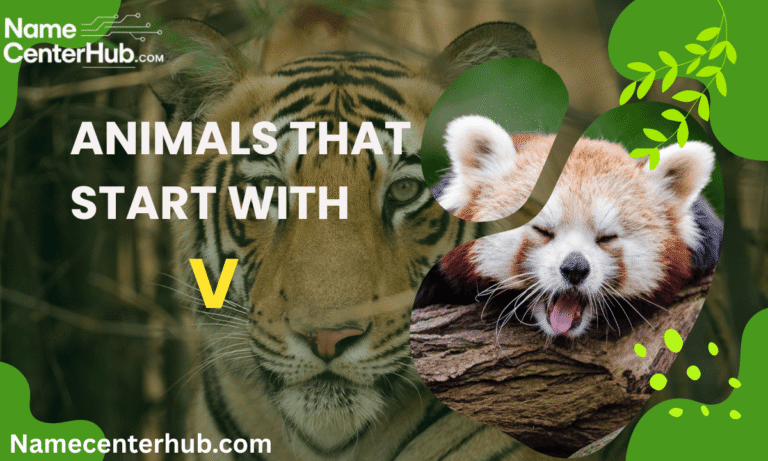 Animals Starting With V