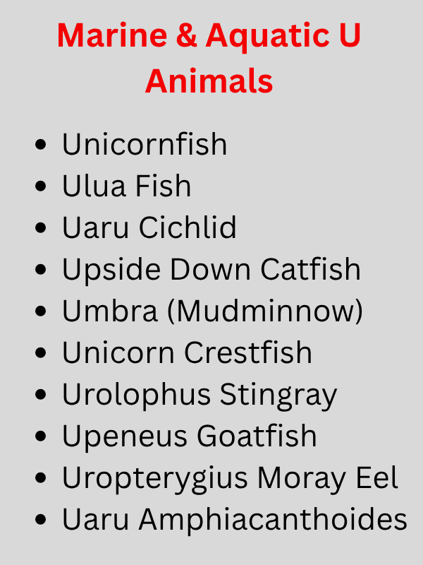 Animals Beginning With U