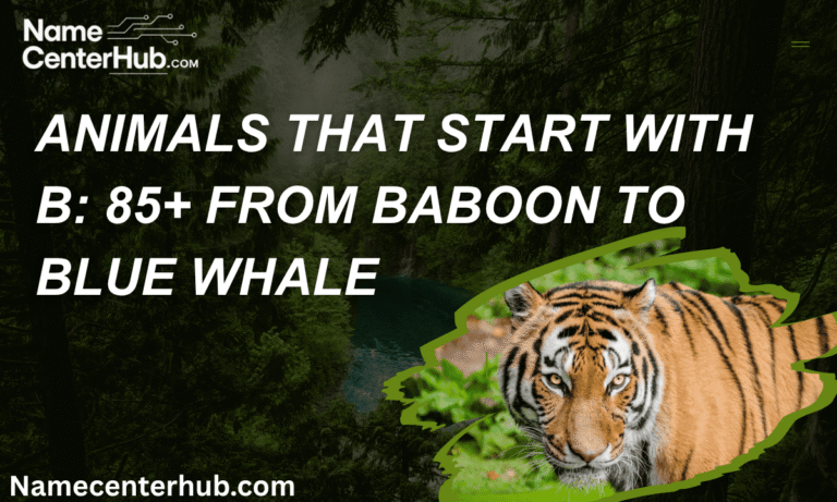 Animals That Start With B