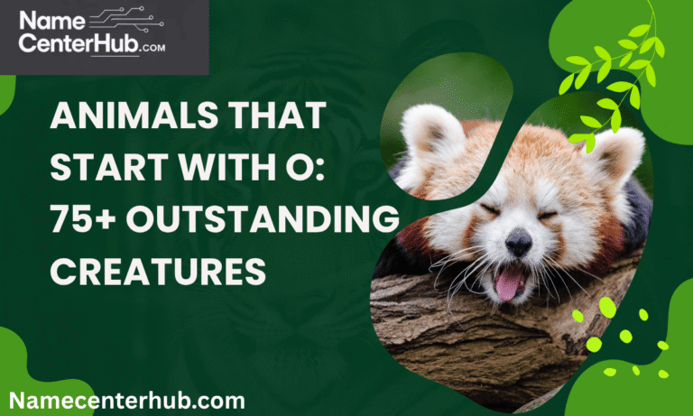 Animals That Start With O