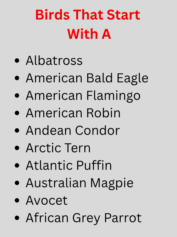 Birds That Start With A