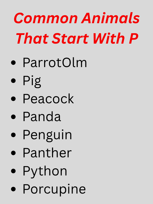 Animals That Start With P
