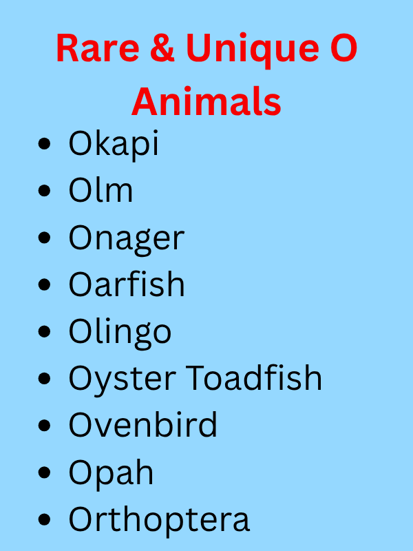 Animals That Start With O