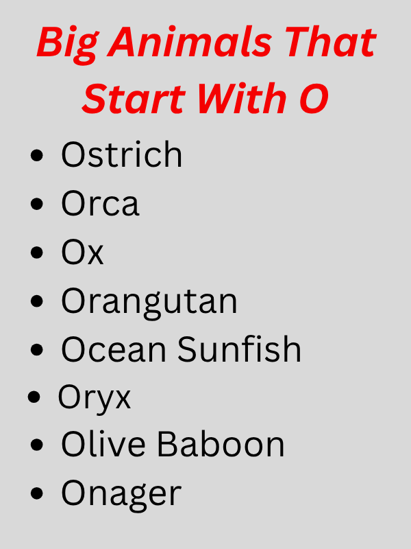 Animals That Start With O