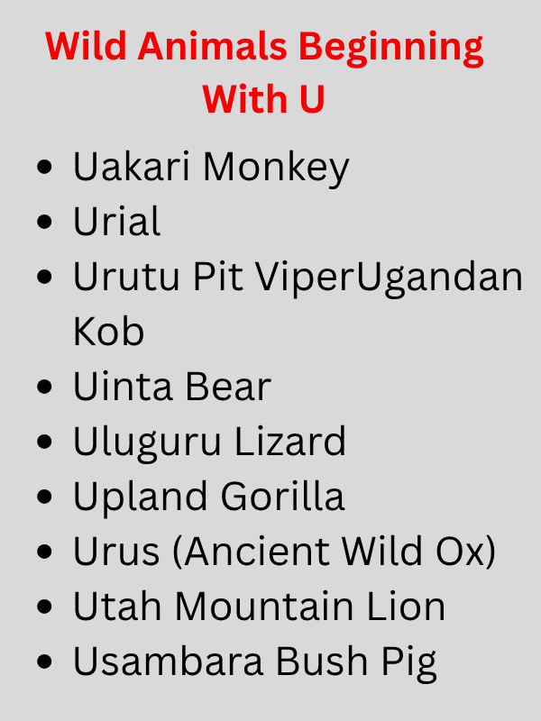 Animals Beginning With U