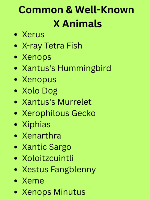 Animals That Start With X