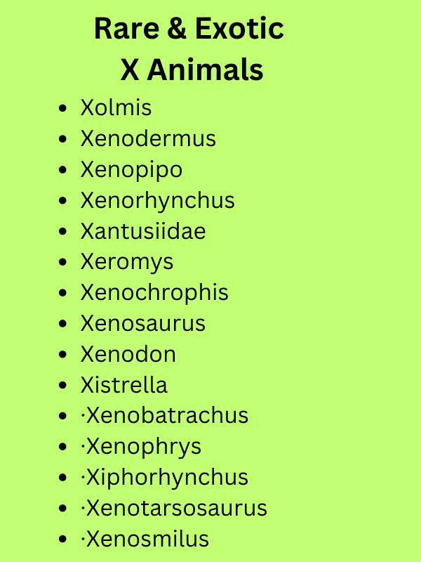 Animals That Start With X