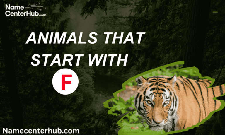 Animals That Start With F