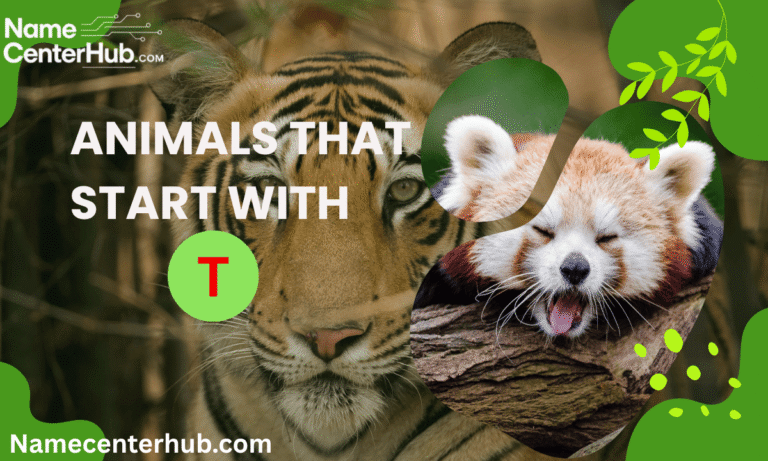 Animals That Start With T