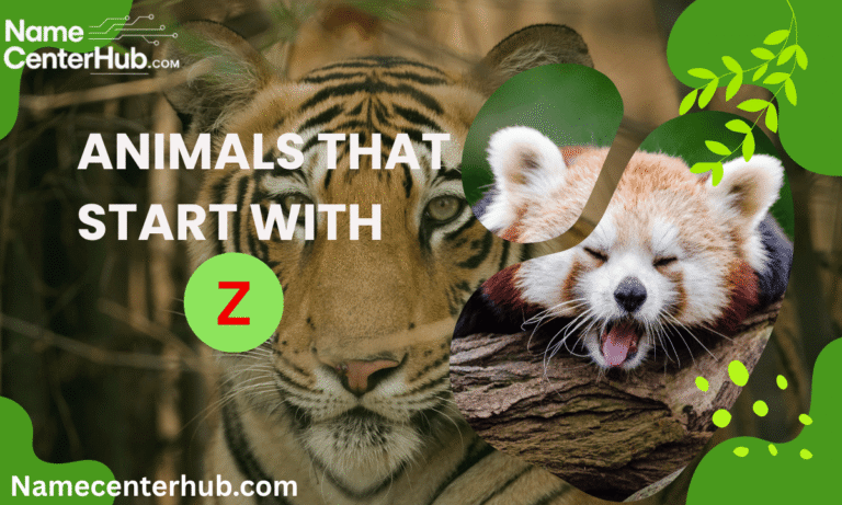Animals That Start With Z