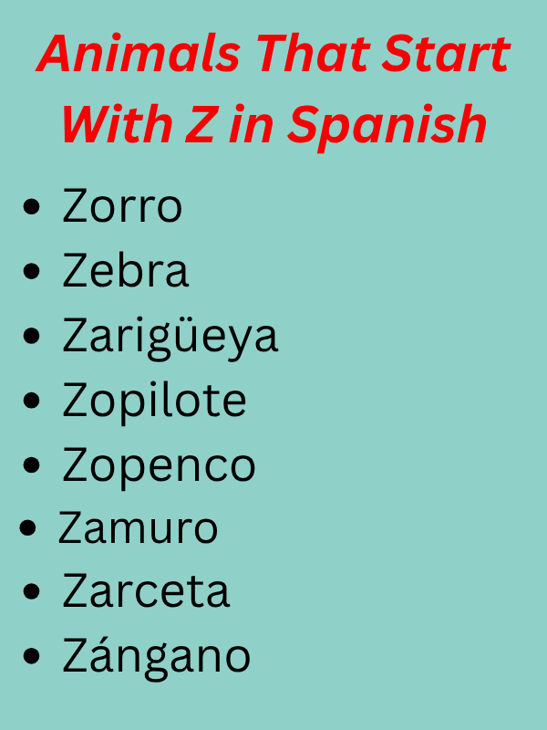 Animals That Start With Z
