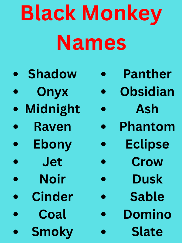 Famous Monkey Names