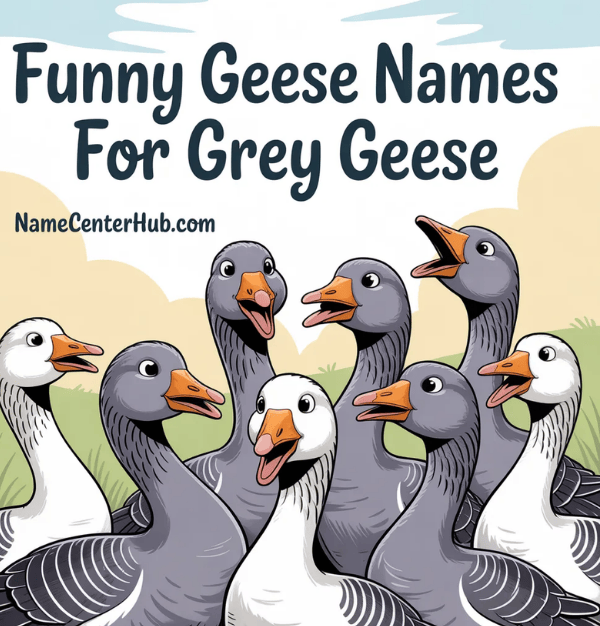 Funny Geese Names For Grey Geese