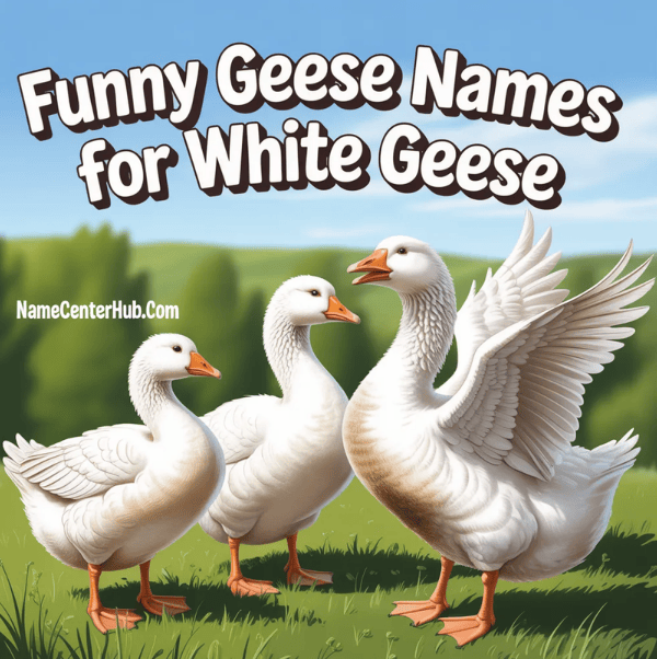 Funny Geese Names For White Geese