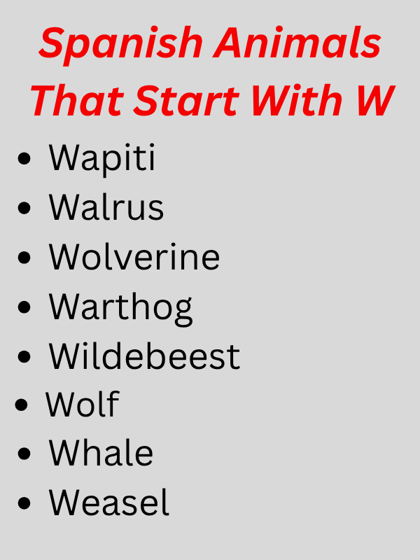 Animals That Start With W