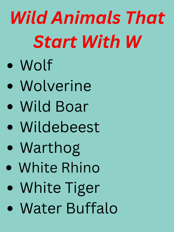 Animals That Start With W