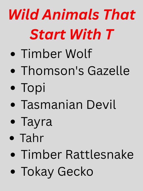 Animals That Start With T