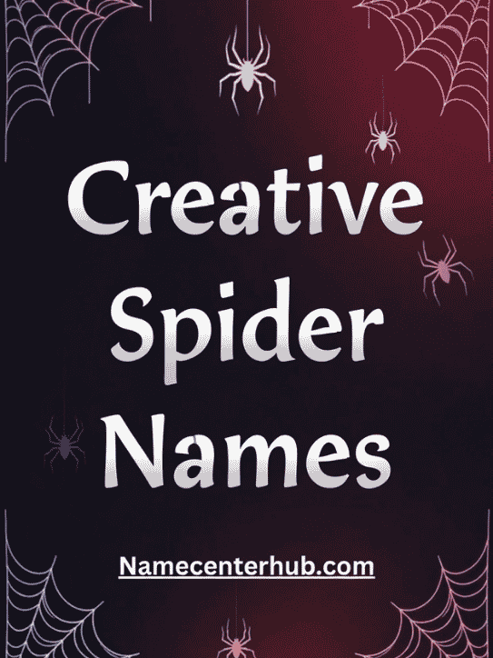 Creative Spider Names