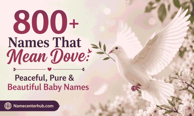 Names That Mean Dove